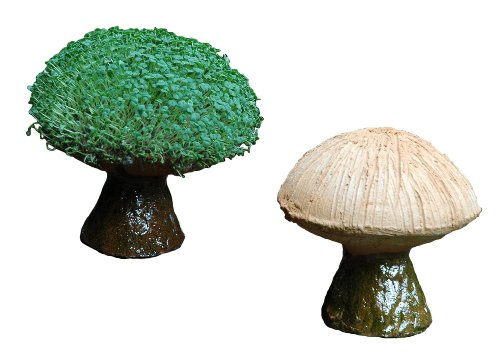 Tumia LAC Lassen Sie Ihr eigenes KresseChampignon gedeihen (Inklusive Kressesamen). Fair gehandelt. Handarbeit aus Mexiko. Champignon. von Tumia LAC