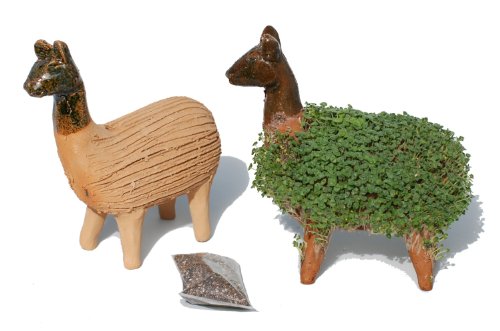 Lassen Sie Ihr eigenes KresseLlama gedeihen (Inklusive Kressesamen). Fair gehandelt. Handarbeit aus Mexiko. Llama. von Tumia LAC