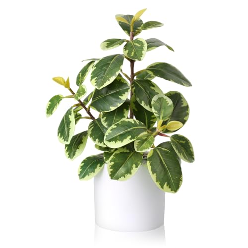 Tuocal künstliche Pflanze im Topf 28cm Faux Kamelie Grün Kunstpflanzen Fake Getopft Kleinen Bonsai Pflanze für Home Office Wohnzimmer Regal Schreibtisch Dekoration von Tuocal