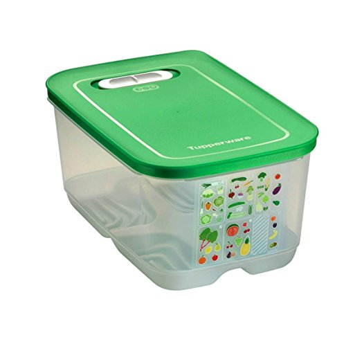 TUPPERWARE Kühlschrank 4,4L dunkelgrün KlimaOase hoch PrimaKlima A183 Klimakönig 10304 von Tupperware