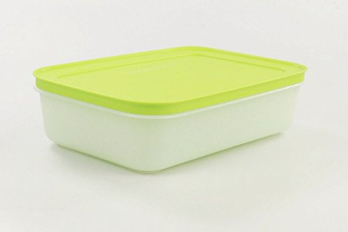 TUPPERWARE 1,0 L Gefrier-Behälter flach Eiskristall Dose grün-weiß 9998 von Tupperware