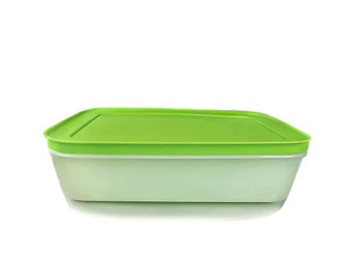 TUPPERWARE Gefrier-Behälter 1,0 L weiß grün flach Eis-Kristall G36 Eiskristall TUPPERWARE Gefrier-Behälter 1,0 L weiß grün flach Eis-Kristall G36 Eiskristall von Tupperware