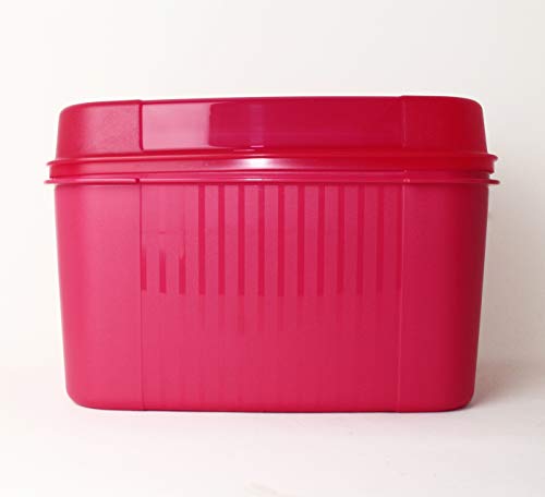 Tupperware® XXL- Naschkatze Neue Trendfarbe! Picknick-Box + Kugelschreiber von Tupperware