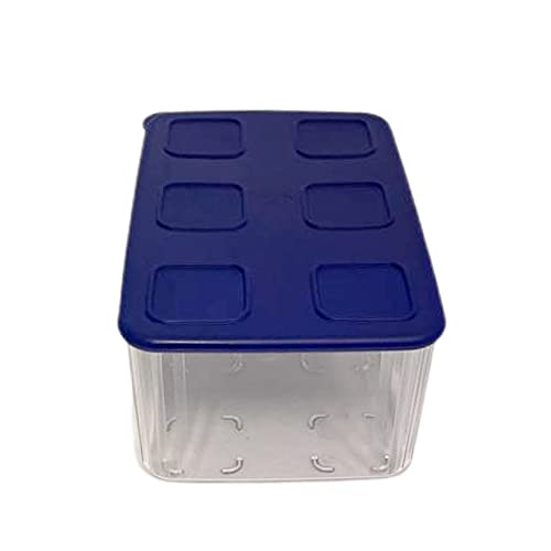 Tupperware Clear Mates 2,5L Clear & Fresh Behälter mit Deckel - rechteckig transparent blau dunkelblau leicht stapelbar zum Frischhalten Frische-System Dose für Gemüse Obst Wurst oder Käse von Tupperware