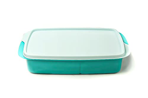 Tupperware to Go Lunchbox 1 L helltürkis mit Trennwand Clevere Pause Schule 36609 von Tupperware