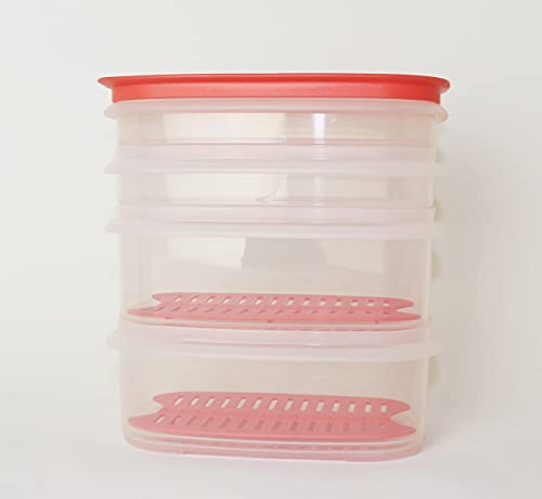 Tupperware Cool`N Fresh Junior 2x 640 ml + 2x 260 ml + 2x Frischegitter + 1x Deckel Lachs Stapelprofi + Aloha Tasse von Tupperware