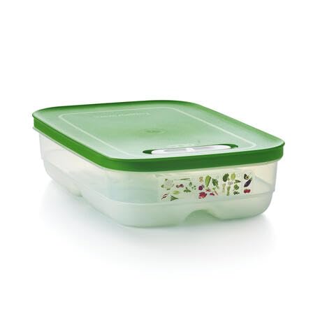 Tupperware Fridgesmart mittelgroßer Behälter mit wintergrünem Verschluss von Tupperware