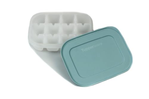 Tupperware Gefrier-Behälter Eiswürfler blau mit Deckel Mini Eiswürfel EIS Tupperware Gefrier-Behälter Eiswürfler blau mit Deckel Mini Eiswürfel EIS von Tupperware