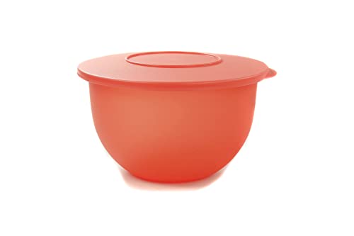 Tupperware Junge Welle Schüssel 2,5 L orange Servierschüssel Servieren 38381 von Tupperware