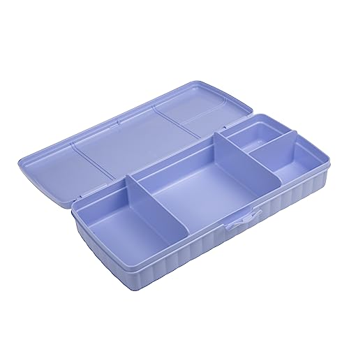 Tupperware Pausenbuffet - Brotdose mit Einteilung + Ketchuplöffel erdbeer von Tupperware