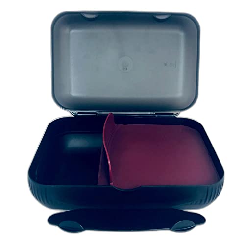 Tupperware To Go Lunch-Box schwarz dunkelrot beere mit Trennung Brotbox Sandwich Dose von Tupperware
