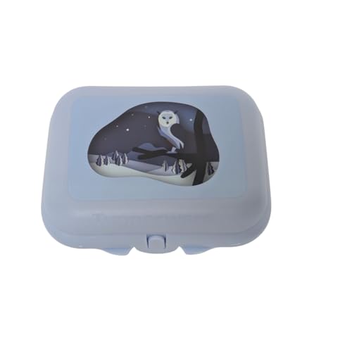 Tupperware To Go Mini-Twin Größe 1 kleine Brotdose Twin Schule Kindergarten (hellblau Winter Eule) von Tupperware
