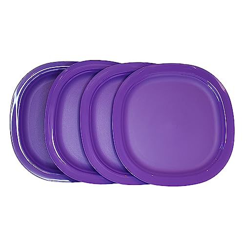 Tupperware Violett Mikrowellen-Aufheizbare Lunch-Teller, 24,1 cm, 4 Stück Tupperware Violett Mikrowellen-Aufheizbare Lunch-Teller, 24,1 cm, 4 Stück von Tupperware