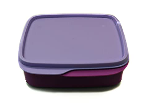 Tupperware to Go Lunchbox Clevere Pause 550 ml lila Flieder mit Trennwand von Tupperware