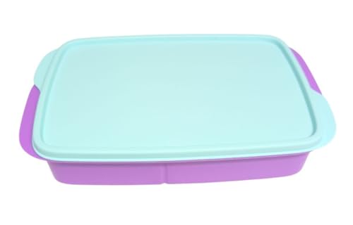 Tupperware to Go Lunchbox Clevere Pause 590ml mit Trennwand Eco+ Schule Brotdose mit Abteilung (lila flieder XL 1000ml) von Tupperware