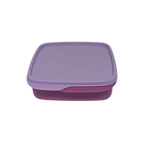 Tupperware to Go Lunchbox Clevere Pause 550 ml Brotdose mit Trennwand Eco+ Schule (violett) von Tupperware