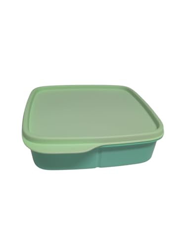 Tupperware to Go Lunchbox clevere Pause 550 ml Brotdose mit Trennwand Eco+ Schule (pastell grün 550ml) von Tupperware