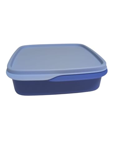 Tupperware to Go Lunchbox clevere Pause 550 ml Brotdose mit Trennwand Eco+ Schule Dose mit Abtrennung (pastell blau 550ml) von Tupperware