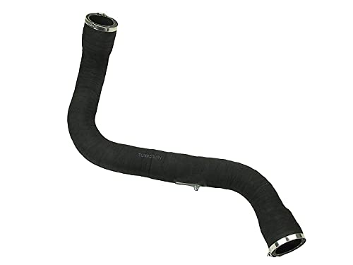 TURBORURY Kompatibel/Ersatz für Turbo-Ladeluftkühler-Schlauch, Renault Megane II 1.9 DCI Scenic II 1.9 DCI 8200201617 8200363471 TURBORURY Kompatibel/Ersatz für Turbo-Ladeluftkühler-Schlauch, Renault Megane II 1.9 DCI Scenic II 1.9 DCI 8200201617 8200363471 von Turborury