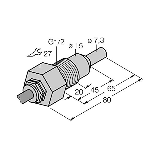 6870335-FCS-G1/2A4-NAEX0/L065,Strömungsüberwachung Eintauchsensor von Turck