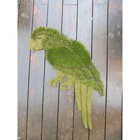 Der Papagei | Kunstrasen Fußmatte Teppich Wand Kunst Dekor Rasen von TurfMats