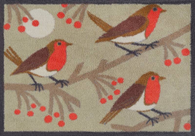 Turtle Mat Fußmatte Red Robins, rechteckig, Höhe: 9 mm, waschbar und trocknergeeignet Turtle Mat Fußmatte Red Robins, rechteckig, Höhe: 9 mm, waschbar und trocknergeeignet von Turtle Mat