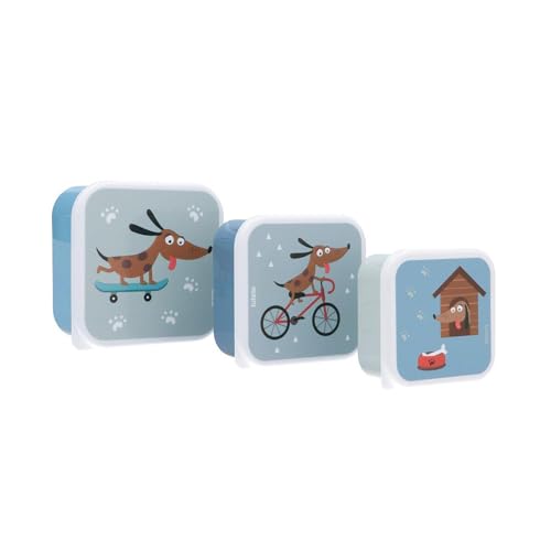 Tutete Set mit 3 Lunchboxen für Kinder, 500 ml, 350 ml, 300 ml, mikrowellen- und spülmaschinenfest, BPA-frei, ideal für Kindergarten und Schule | Skater Dog von Tutete