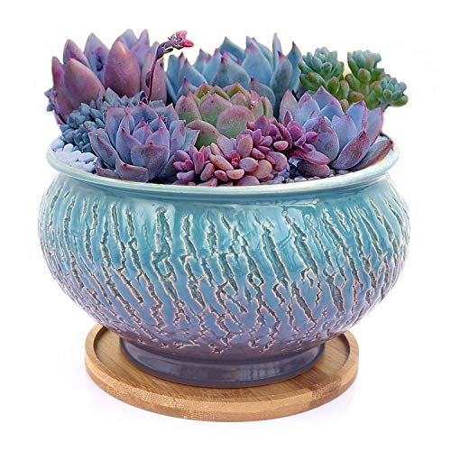 Farbe glasierter Vintage runder Keramik-Sukkulenten-Pflanztopf mit Drainageloch und Tablett, Sukkulentenhalter, Bonsai, Blumenvase, Gartendekoration, künstlicher Formschnitt, Topfbehälter von Tuumee