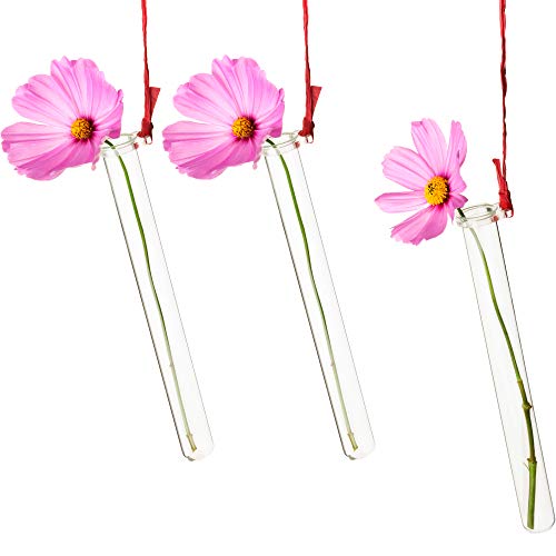 Tuuters 25x Reagenzglashalter für Blumen mit Reagenzglas/Blumenvase von Tuuters