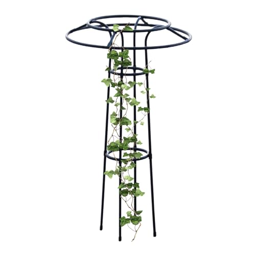 Tuxuseo Pflanzen Rankhilfe Für Innenbereich - Stützgerüst Für Kletterpflanzen Und Blumen - Robustes Regenschirm-Spalier Für Balkon, Garten, Gewächshaus, Terrasse & Gemüsepflanzen Tuxuseo Pflanzen Rankhilfe Für Innenbereich - Stützgerüst Für Kletterpflanzen Und Blumen - Robustes Regenschirm-Spalier Für Balkon, Garten, Gewächshaus, Terrasse & Gemüsepflanzen von Tuxuseo