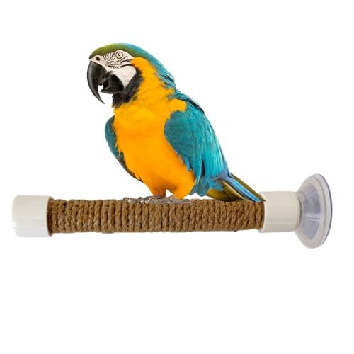 Tuxuseo Vogel Fenster Sitzstange | Trainingsstand Für Sittiche,Tragbares Käfigzubehör Spielzeug Für Ara Und Zum Training Tuxuseo Vogel Fenster Sitzstange | Trainingsstand Für Sittiche,Tragbares Käfigzubehör Spielzeug Für Ara Und Zum Training von Tuxuseo