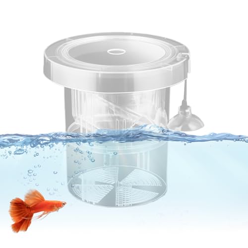 Tuxuseo Zuchtbox - Isolierbehälter für e | Wiederverwendbares Aufzucht-Refugium für verletzte Wassertiere, Wasserpflanzen, Lebendfutter-Zucht, Guppys, Kampfe und Tuxuseo Zuchtbox - Isolierbehälter für e | Wiederverwendbares Aufzucht-Refugium für verletzte Wassertiere, Wasserpflanzen, Lebendfutter-Zucht, Guppys, Kampfe und von Tuxuseo