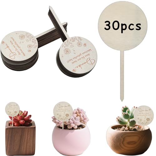 30 Stück Pflanzenschilder Holz Blumenstecker Schild Danke Dass du Mir Beim Wachsen Geholfen Hast, Holzschilder Danke Blumentopf Blumenstecker Abschiedsgeschenk Kindergarten Dankeschön Geschenk von Tuxuzal