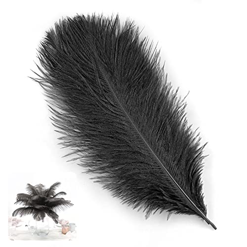 Tuxuzal 10 Stück Natürliche Strauß Feder Deko Künstliche Straußenfeder Schwarz Strauß Federn Bastelfedern für Maskendekoration Hochzeit Party Ornamente, Künstliche Schwarz Federn zum Bastel, 25-30 cm von Tuxuzal