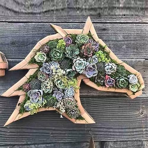 Tuzsocr Sukkulenten-Behälter in Tierform, Kunstharz, Sukkulenten-Übertopf, Bonsai Pflanzenhalter, dekorative Pflanztöpfe, rustikale Blumentöpfe für Büro, Balkon und Garten (Pferd) von Tuzsocr