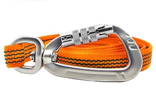 Twinkys Dog Style Kurze Führleine mit Sicherheitskarabiner gummiert mit Handschlaufe, Länge 160 cm, Breite 15 mm, für kleine und große Hunde geeignet Made in Germany Orange von Twinkys