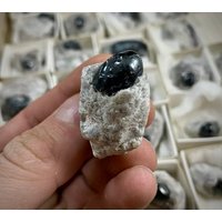 Obsidian in Perlit Matrix 1 Stück Apache Tear Mineral Probe. 100% Natürlich Obsidian in Perlit Matrix 1 Stück Apache Tear Mineral Probe. 100% Natürlich von Twinstibnite