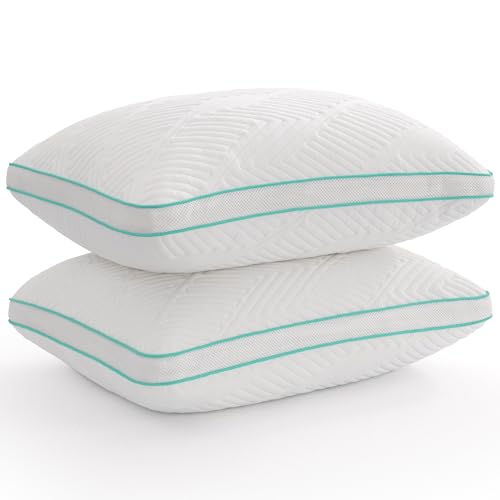 Twirest Kissen aus geschreddertem Memory-Schaum, hypoallergen, Hotelbettkissen für bequemes Schlafen, maschinenwaschbar, Standardgröße (51 x 66 cm), 2 Stück von Twirest