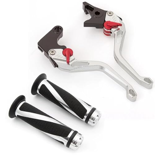 Pitbike-Kupplungshebel Für Triumph Für Straße Für Triple 765 R 2020 2021 2022 2023 Motorrad Alumium Bremse Kupplung Hebel für Mit hand Griffe Zubehör(Silber) von Twixral