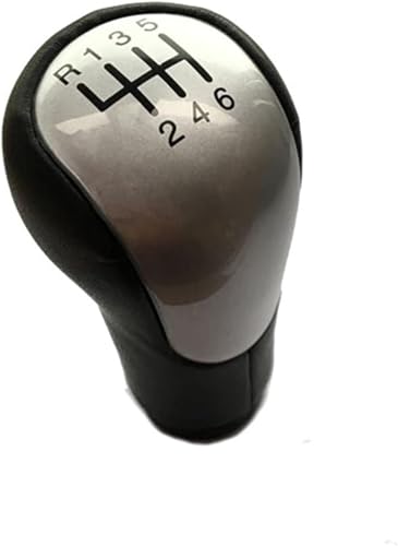 Twixral Auto-Schaltknauf Auto Griff Schaltknauf Kopf Grip Hebel für ford für fiesta MK6 2002-2008(6 Speed Silver) von Twixral