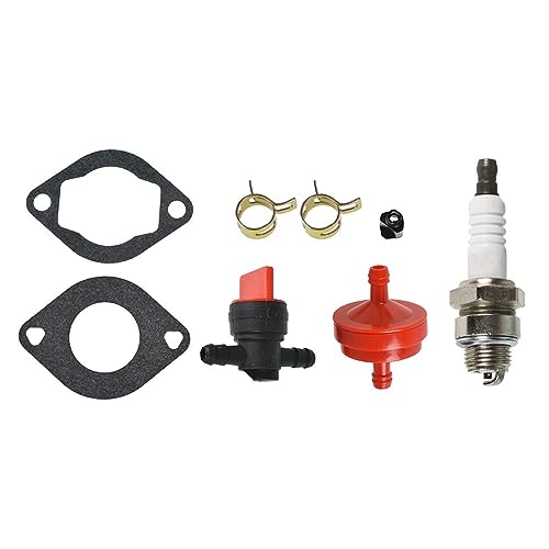 Vergaser Für Briggs Stratton 286702 286707 289702 289707 Vergaser Carb Zubehör Vergaser Für Briggs Stratton 286702 286707 289702 289707 Vergaser Carb Zubehör von Twixral