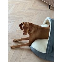 Plüsch Hundebett Höhle Mit Bezug Waschbarer Hund Runde Donut Bett Kiste Beruhigender Welpen Schlafsack von TwoVizslas