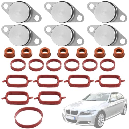 Twowinds Ansaugbrücke Drallklappen Dichtungssatz, 6 Stopfen mit 22mm und 20 Dichtungen, Kompatibel mit BMW E38 E87 E46 E90 E91 E92 E93 E39 E60 E61 E63 E64 E65 E66 E67 E83 E53 E70 E71 E72 von Twowinds