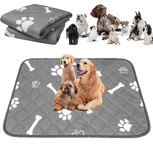2PCS Welpenunterlagen 90 x 75cm Wiederverwendbare Trainingspads für Hunde Waschbar PIPI Matten für Hunde Txeouse Hunde PIPI Matten Super SaugfäHig/rutschfest/Atmungsaktiv Ideal für Hunde 2PCS Welpenunterlagen 90 x 75cm Wiederverwendbare Trainingspads für Hunde Waschbar PIPI Matten für Hunde Txeouse Hunde PIPI Matten Super SaugfäHig/rutschfest/Atmungsaktiv Ideal für Hunde von Txeouse