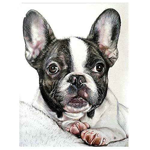 DIY 5D Diamond Painting Set Malen nach Zahlen Französische Bulldogge Full Diamant Painting Bilder Kit für Erwachsene,Kristall Strass Stickerei Kreuzstich Art für Home Canvas Wall Decor 40x50cm/16x20in von Txier