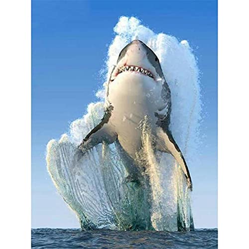 DIY 5D Diamond Painting Set Malen nach Zahlen Haifisch Full Diamant Painting Bilder Kits für Erwachsene,Kristall Strass Stickerei Kreuzstich Arts Craft für Home Canvas Wall Decor 60x90cm/24x36inch DIY 5D Diamond Painting Set Malen nach Zahlen Haifisch Full Diamant Painting Bilder Kits für Erwachsene,Kristall Strass Stickerei Kreuzstich Arts Craft für Home Canvas Wall Decor 60x90cm/24x36inch von Txier