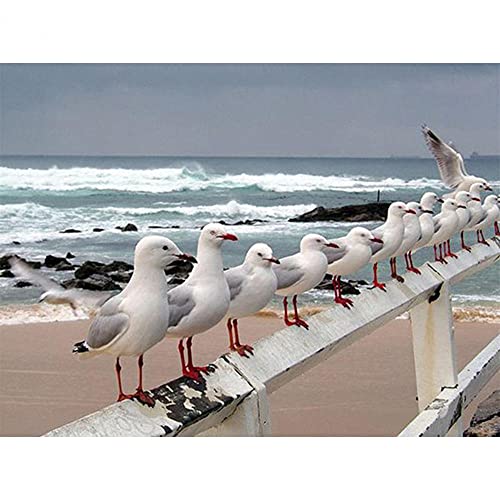 DIY 5D Diamond Painting Set Malen nach Zahlen Möwe am Meer Full Diamant Painting Bilder Kits für Erwachsene,Kristall Strass Stickerei Kreuzstich Arts Craft für Home Canvas Wall Decor 45x60cm/18x24inch DIY 5D Diamond Painting Set Malen nach Zahlen Möwe am Meer Full Diamant Painting Bilder Kits für Erwachsene,Kristall Strass Stickerei Kreuzstich Arts Craft für Home Canvas Wall Decor 45x60cm/18x24inch von Txier