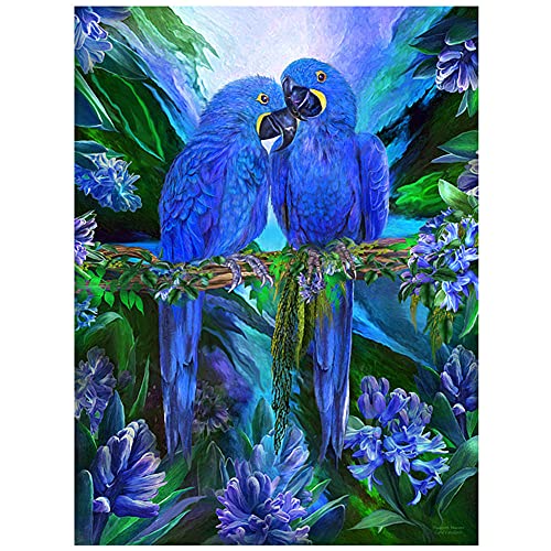 DIY 5D Diamond Painting Set Malen nach Zahlen Papagei Brid Full Diamant Painting Bilder Kits für Erwachsene,Kristall Strass Stickerei Kreuzstich Arts Craft für Home Canvas Wall Decor 40x50cm/16x20inch von Txier