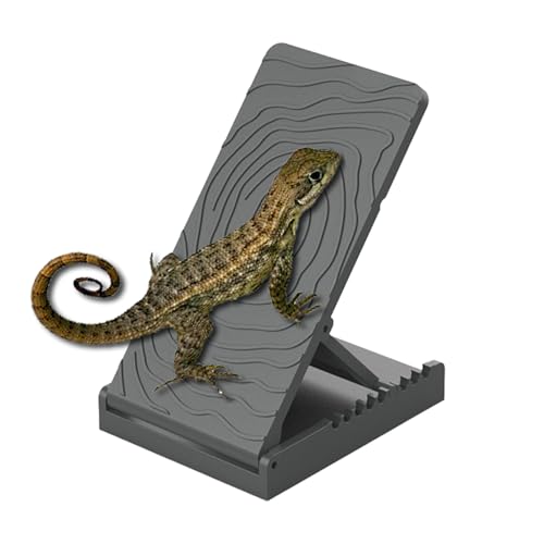TyCylKu Reptilien Sonnenplatz Rampe | Kletterschiefer für Echsen Reptilienhabitat - Klappbare Reptilienrampe Für Klettern Ruhen Füttern Bei Echsen Schlangen Fröschen TyCylKu Reptilien Sonnenplatz Rampe | Kletterschiefer für Echsen Reptilienhabitat - Klappbare Reptilienrampe Für Klettern Ruhen Füttern Bei Echsen Schlangen Fröschen von TyCylKu