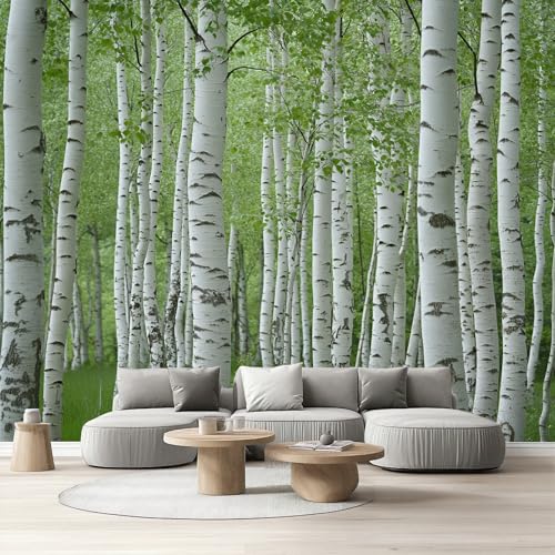 Selbstklebende Tapete Rosa Kaktus Wandtapete Wohnzimmer Bunt Succulent Fototapete Schlafzimmer Wasserfest Wandfolie Niedlich Pflanzenmuster Vliestapete Küchentapete Klebefolie Abwaschbar 280x400 cm Selbstklebende Tapete Rosa Kaktus Wandtapete Wohnzimmer Bunt Succulent Fototapete Schlafzimmer Wasserfest Wandfolie Niedlich Pflanzenmuster Vliestapete Küchentapete Klebefolie Abwaschbar 280x400 cm von Tyafsgvqo